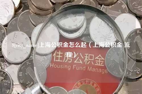 吴忠上海公积金怎么起（上海公积金 流程）